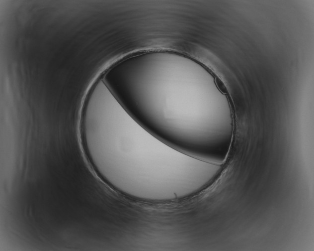 X0000097491093200802220835