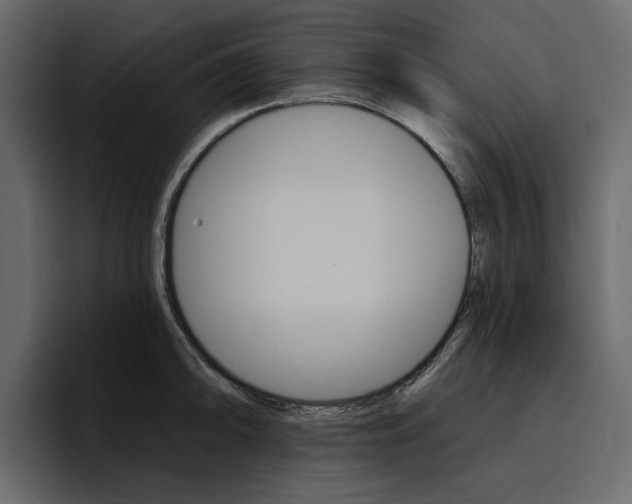 X0000097491094200802220835