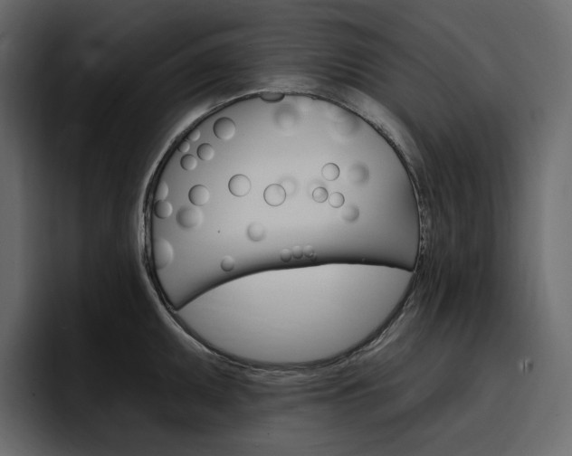X0000097491095200802220835
