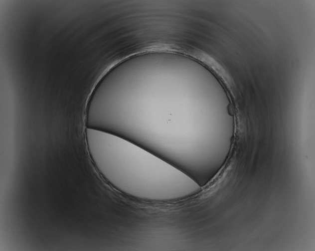 X0000097491097200802220835