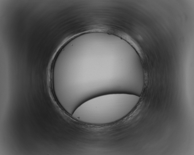 X0000097491099200802220835
