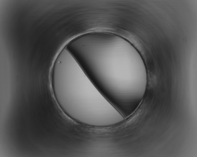 X0000097491102200802220835