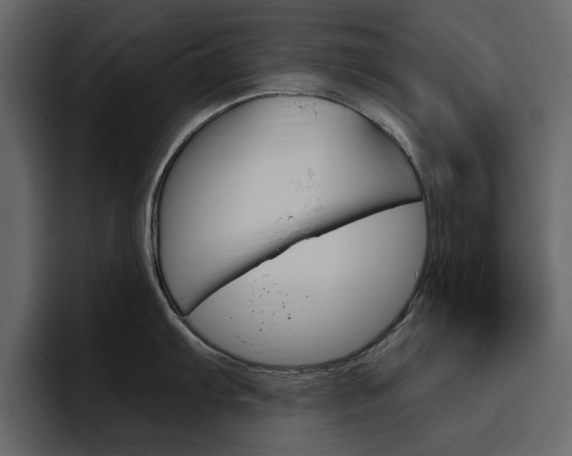X0000097491103200802220835