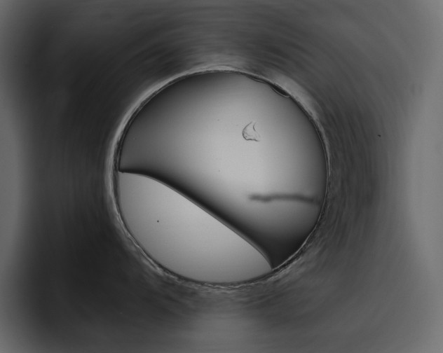 X0000097491104200802220835