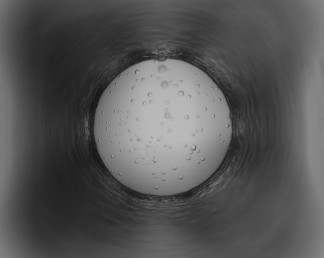 X0000097491106200802220835