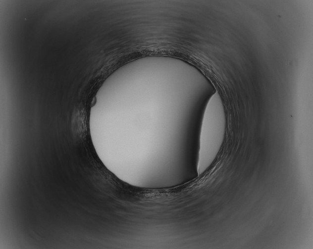 X0000097491107200802220835