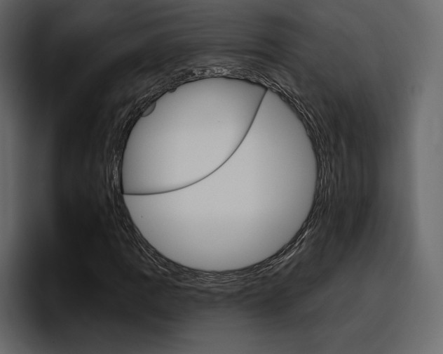 X0000097491109200802220835