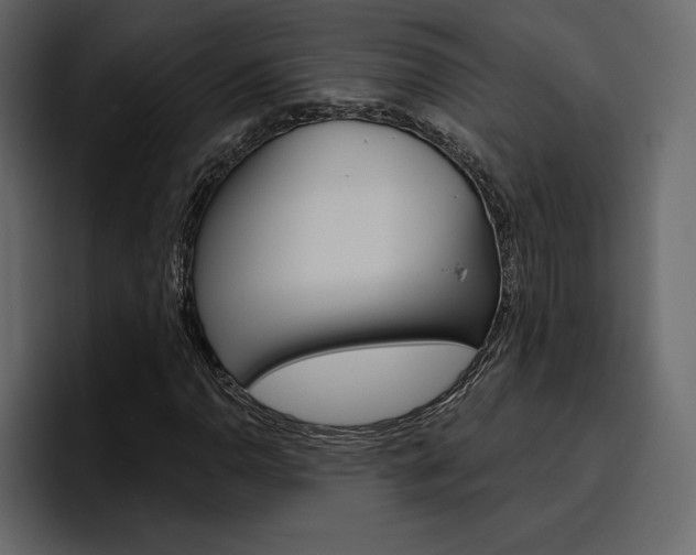 X0000097491110200802220835