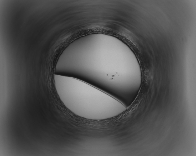 X0000097491111200802220835