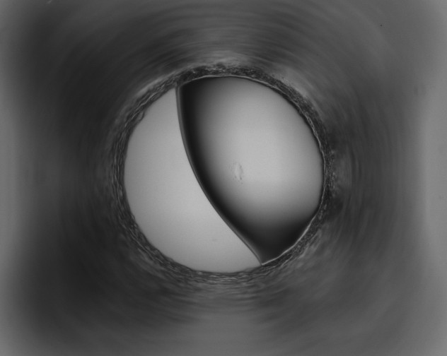 X0000097491112200802220835