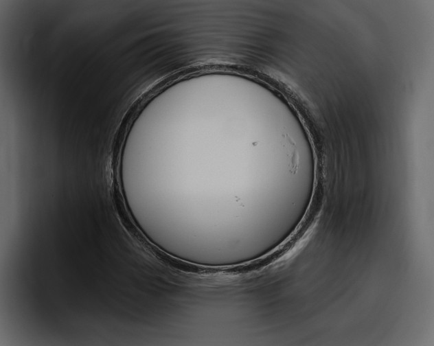 X0000097491113200802220835
