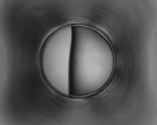 X0000097491114200802220835