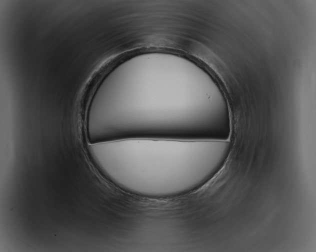 X0000097491115200802220835