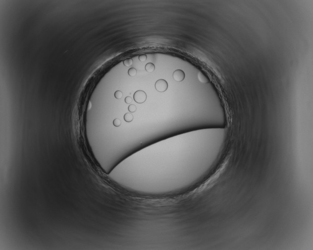 X0000097491117200802220835