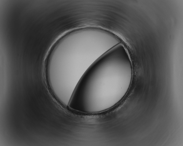 X0000097491118200802220835