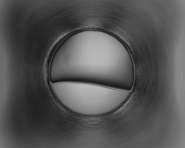 X0000097491119200802220835