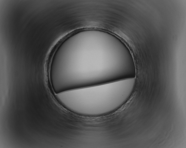 X0000097491120200802220835