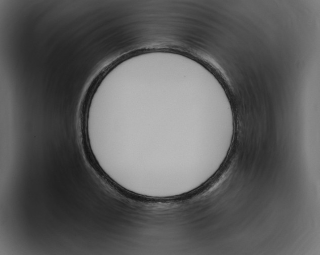 X0000097491122200802220835