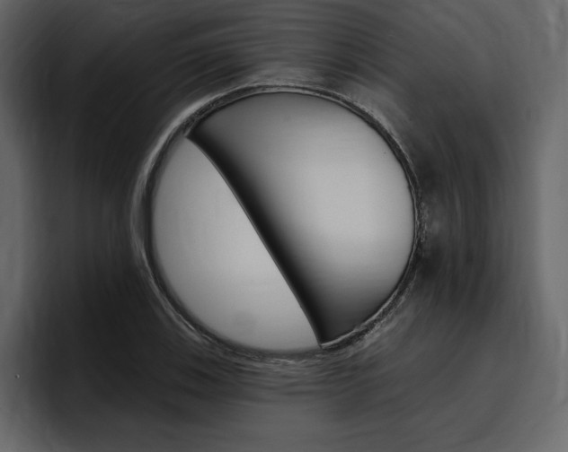 X0000097491123200802220835