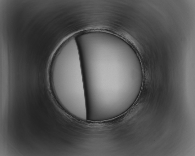 X0000097491124200802220835