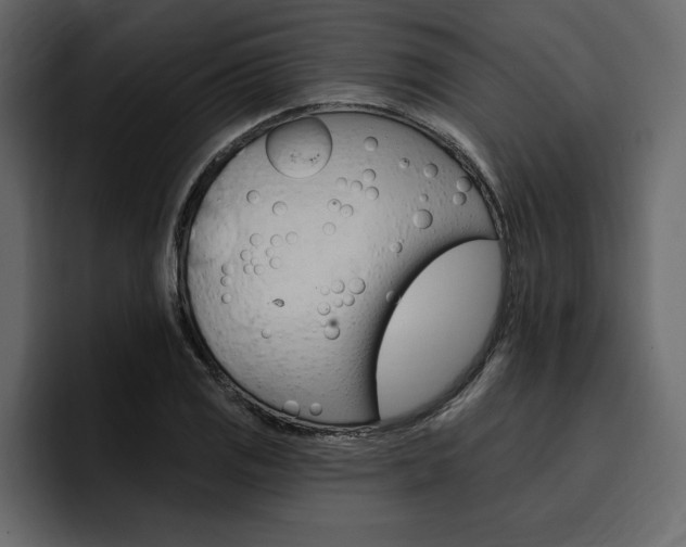 X0000097491125200802220835