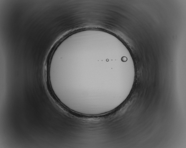 X0000097491126200802220835
