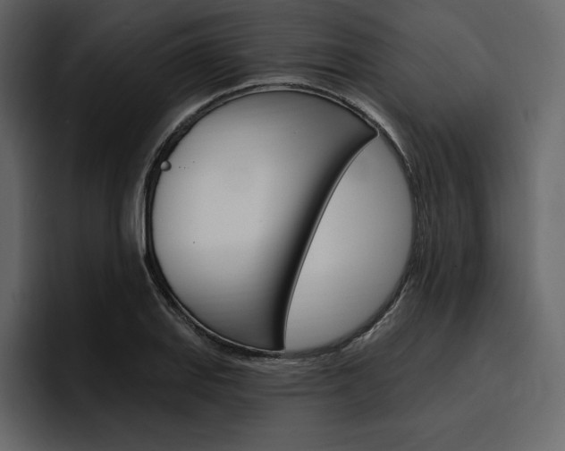 X0000097491127200802220835