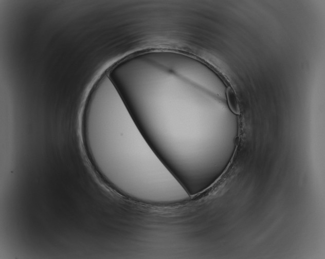 X0000097491128200802220835