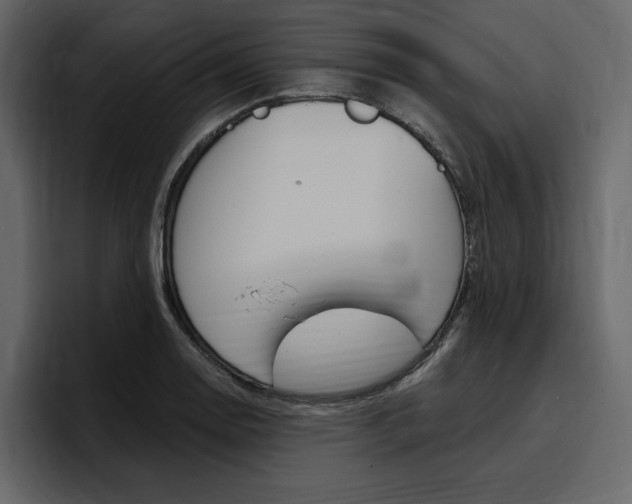 X0000097491130200802220835