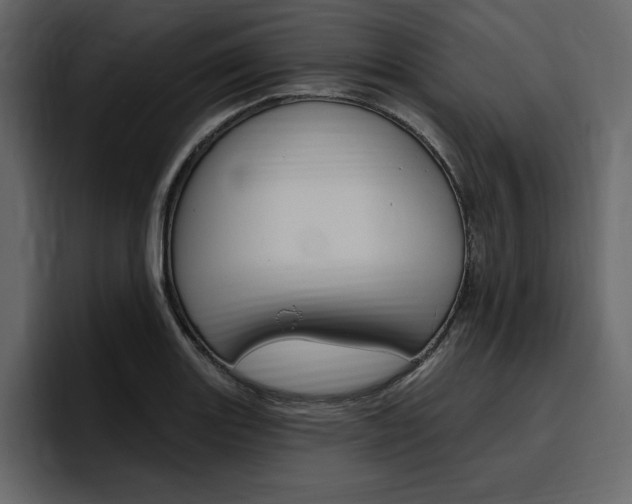 X0000097491131200802220835