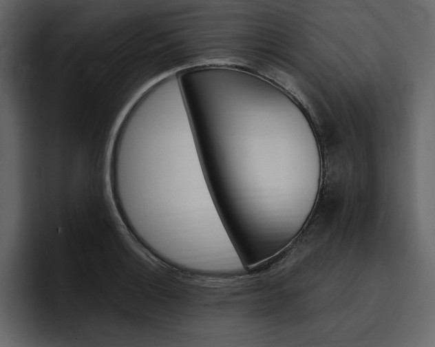 X0000097491132200802220835