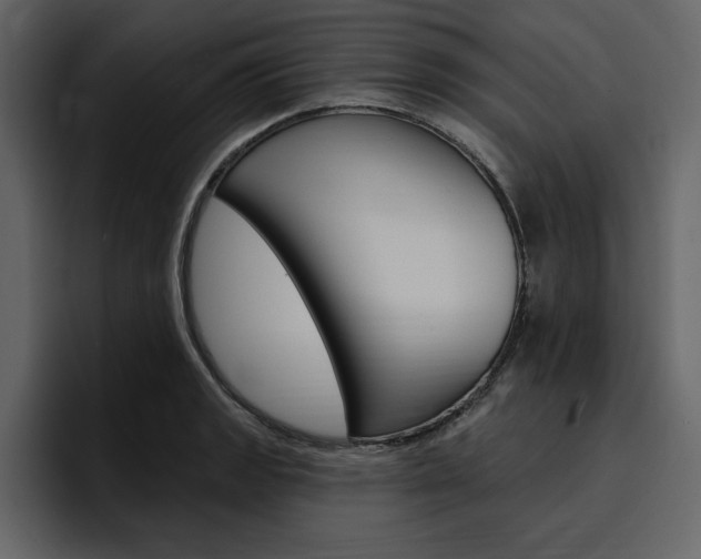 X0000097491133200802220835