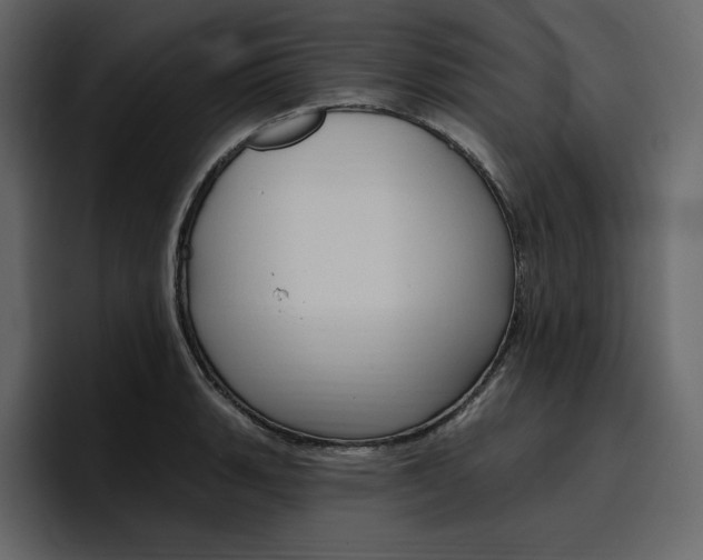 X0000097491135200802220835