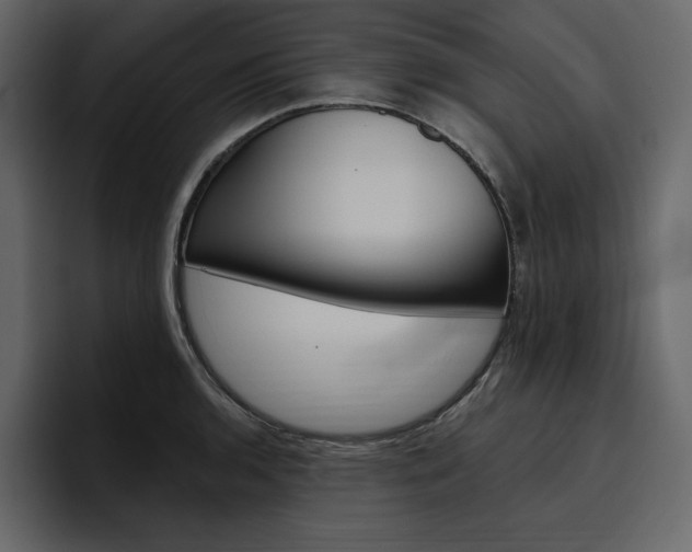 X0000097491136200802220835