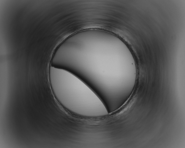 X0000097491137200802220835
