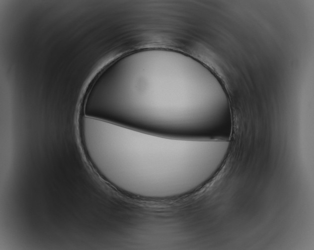 X0000097491138200802220835