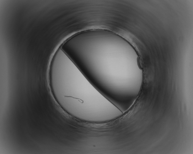 X0000097491140200802220835