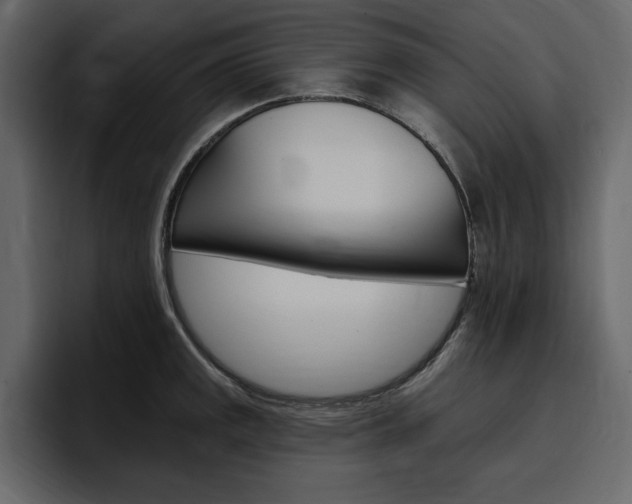 X0000097491141200802220835