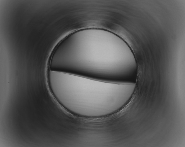 X0000097491142200802220835