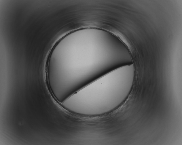 X0000097491143200802220835
