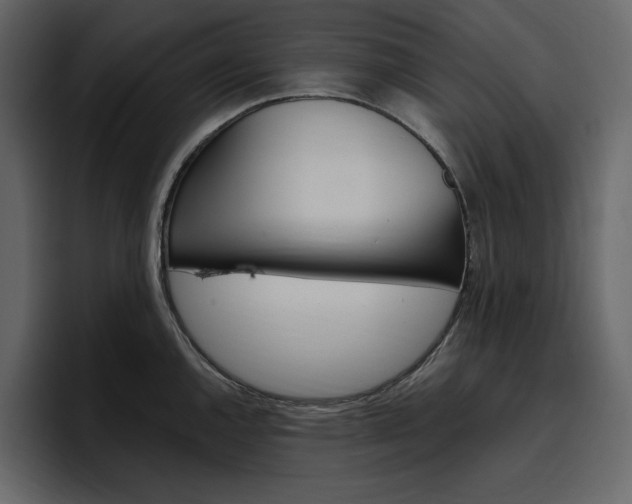 X0000097491144200802220835