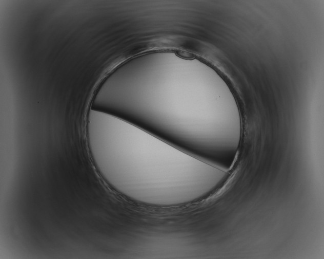 X0000097491145200802220835