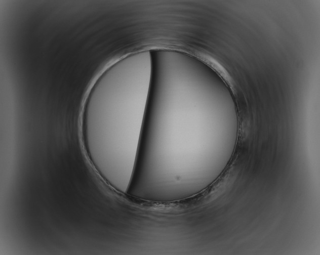 X0000097491146200802220835