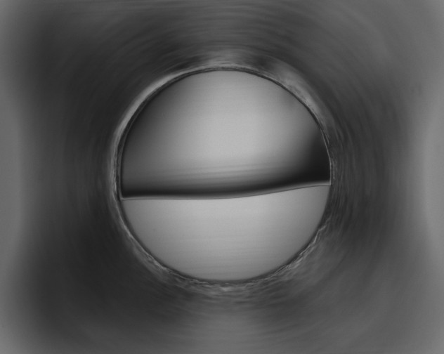 X0000097491148200802220835