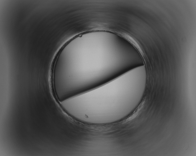 X0000097491149200802220835