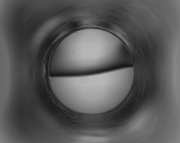 X0000097491151200802220835