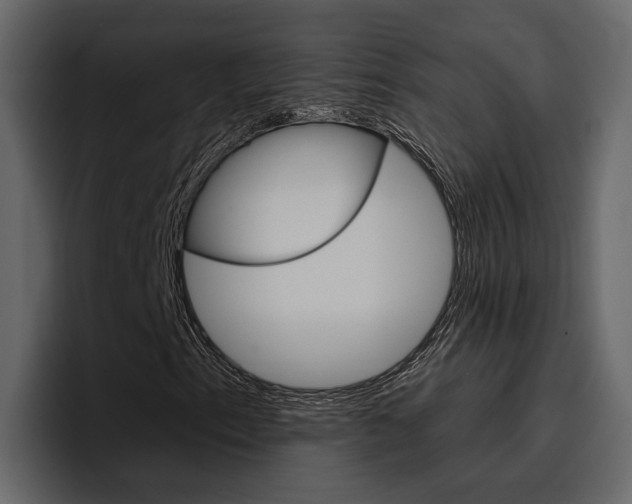 X0000097491153200802220835