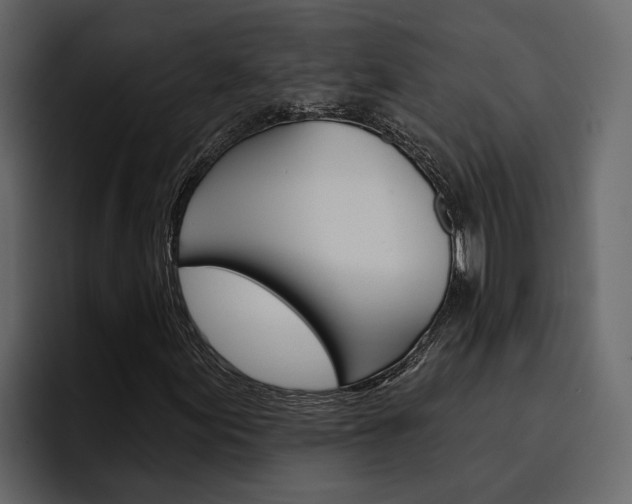 X0000097491155200802220835