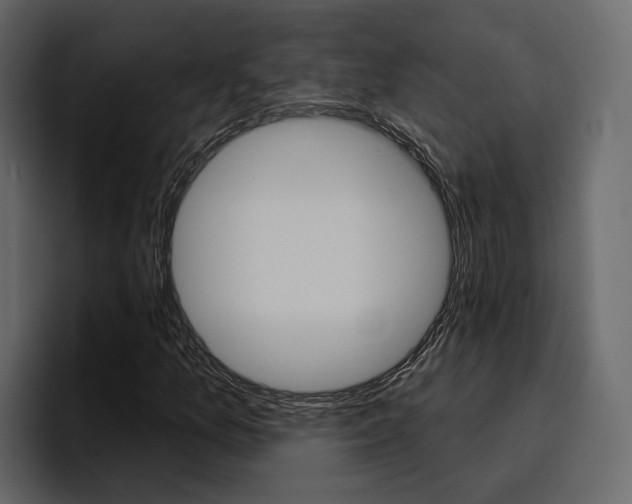 X0000097491157200802220835