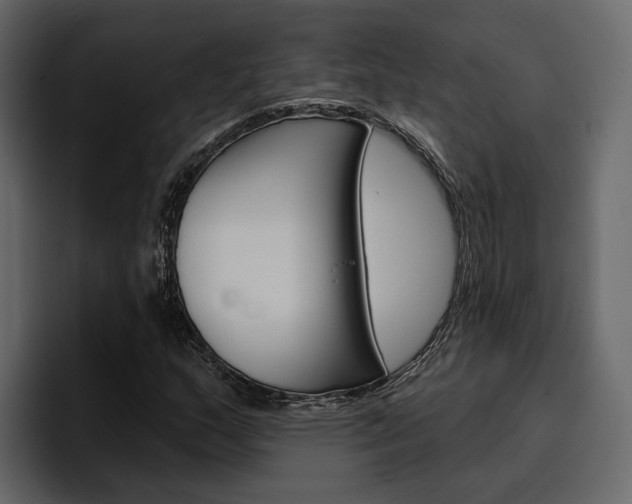 X0000097491159200802220835